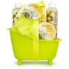 Freida and Joe Passion Fruit Fragrance Bath & Body Spa Gift Set in an Apple Green Tub Basket